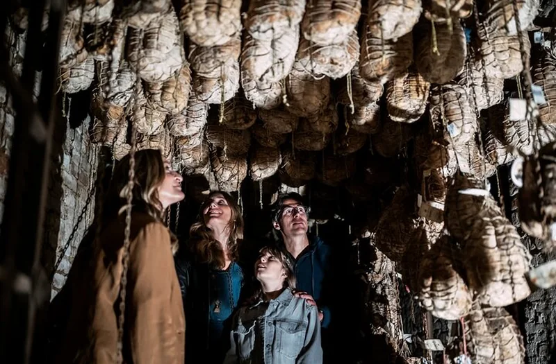 Mezza giornata privata nella Bassa Parmense con visita in fattoria